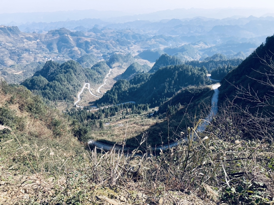 【鐵甲日記二十七】跑山美滋滋