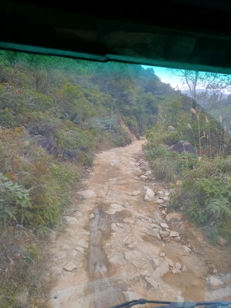 挖機(jī)路的艱難，今年賺錢(qián)真的很難