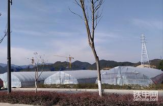 【铁甲日记第四十二天】草莓园