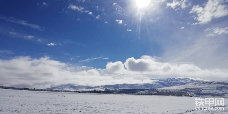 雪中一縷陽光