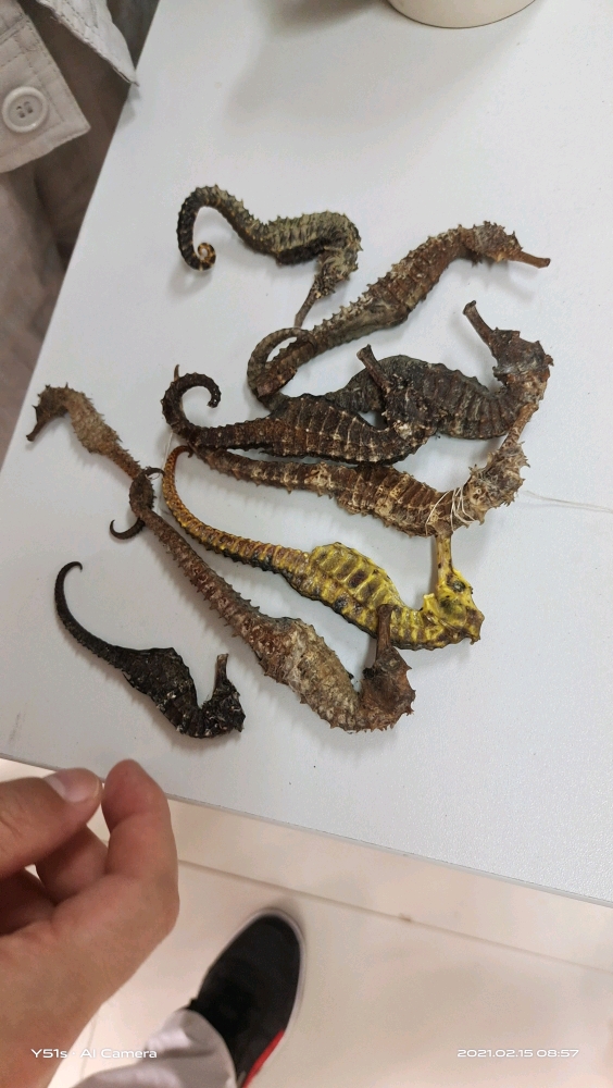 大年初四見(jiàn)聞