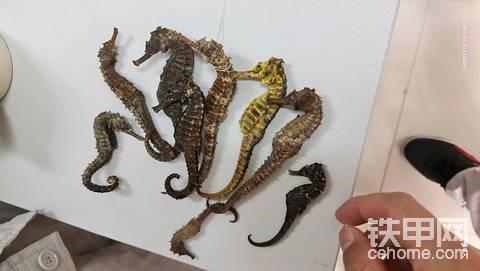 大年初四見(jiàn)聞