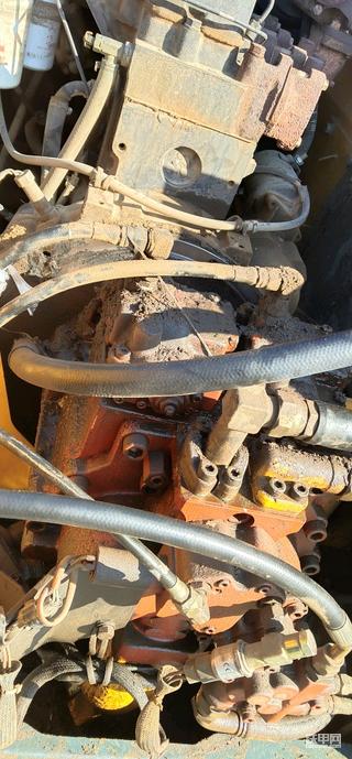 征服一切自然环境