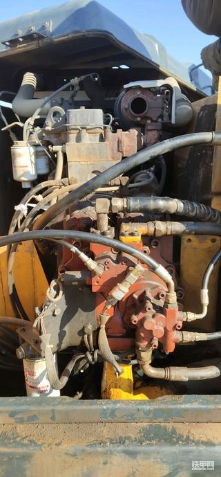 征服一切自然环境