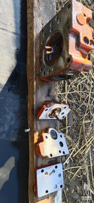 征服一切自然环境