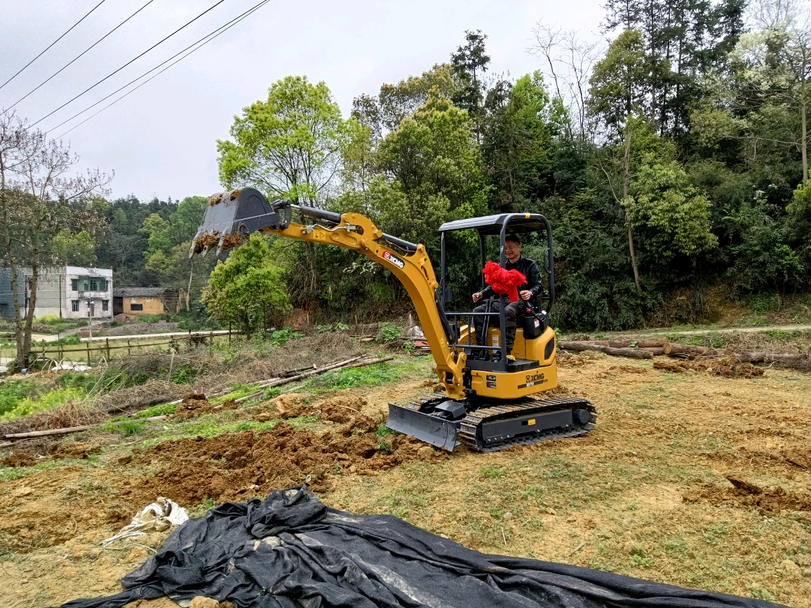 湘潭徐工17微挖提車