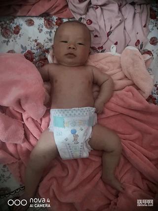 想入手一台7--8吨的小挖，一直在纠结选哪个品牌的合适