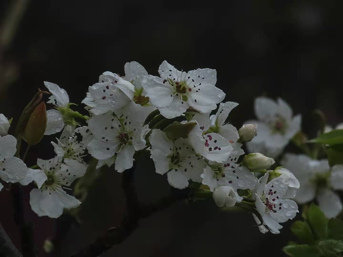 早上好