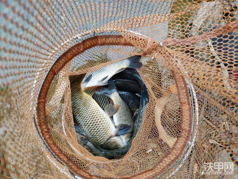 釣友魚貨，收獲滿滿，五一快樂！