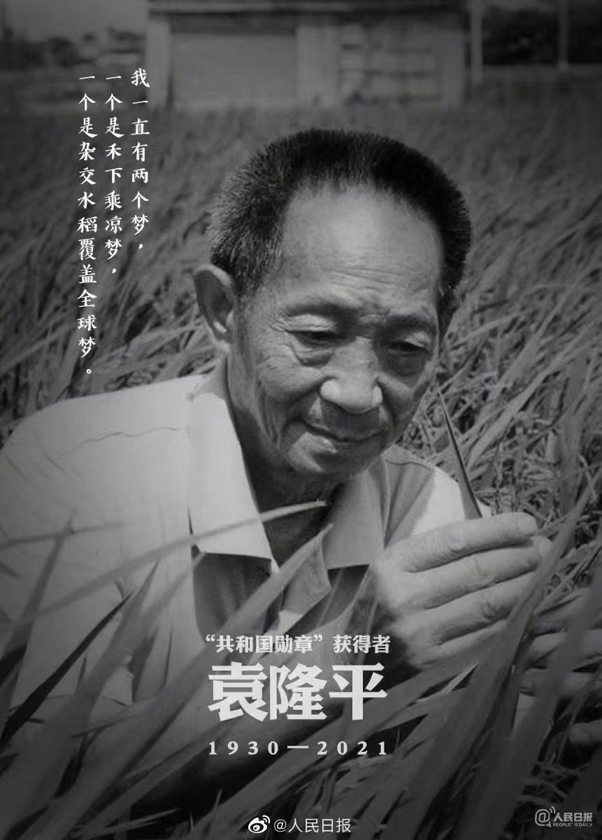 沉痛悼念zajiao水稻之父共和國勛章獲得者袁隆平院士