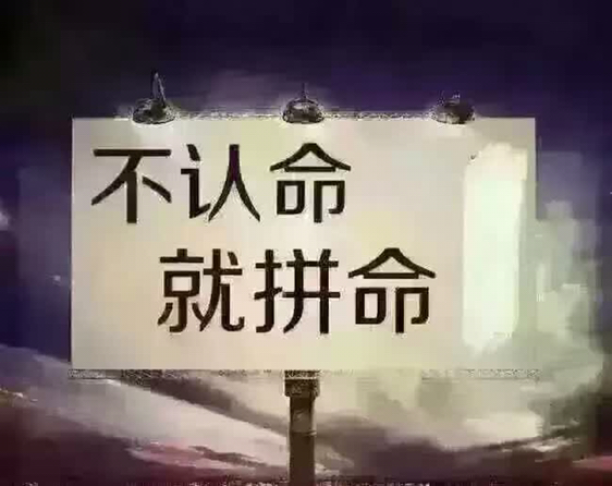 開挖機干的那些事