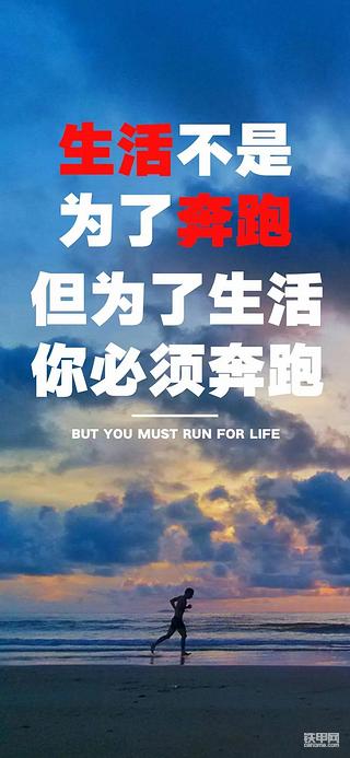 该努力还是该躺平