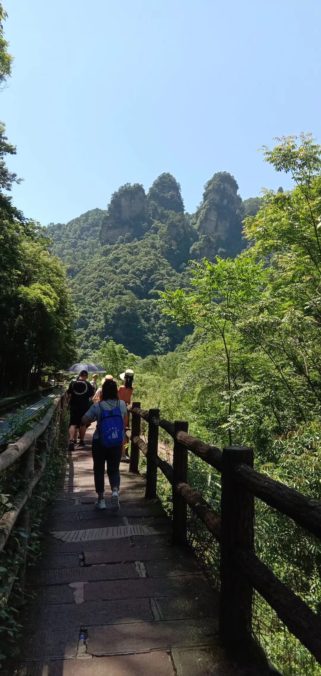 閑暇之余放松放松---張家界5日游