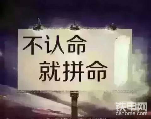 挖机界的一股清流