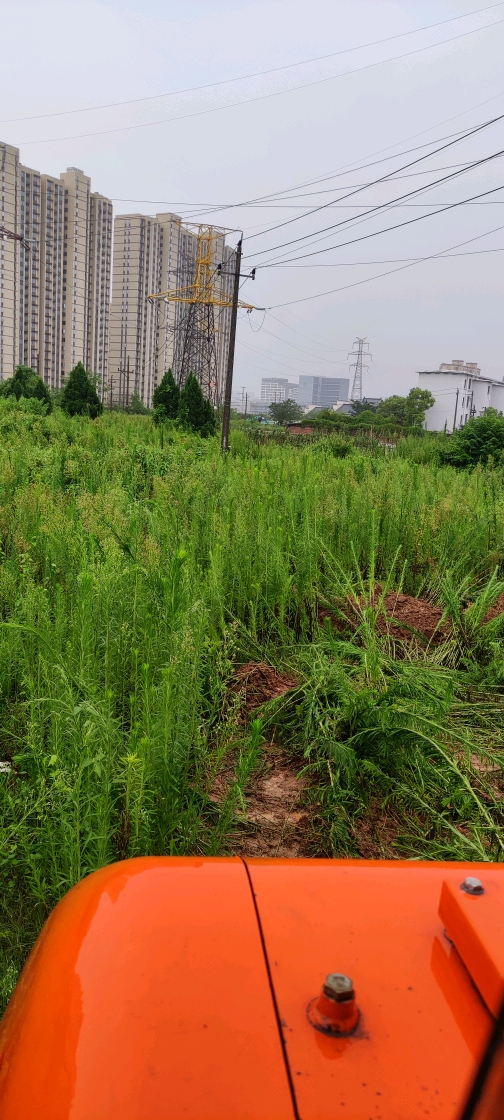 考古工作下雨也不能停