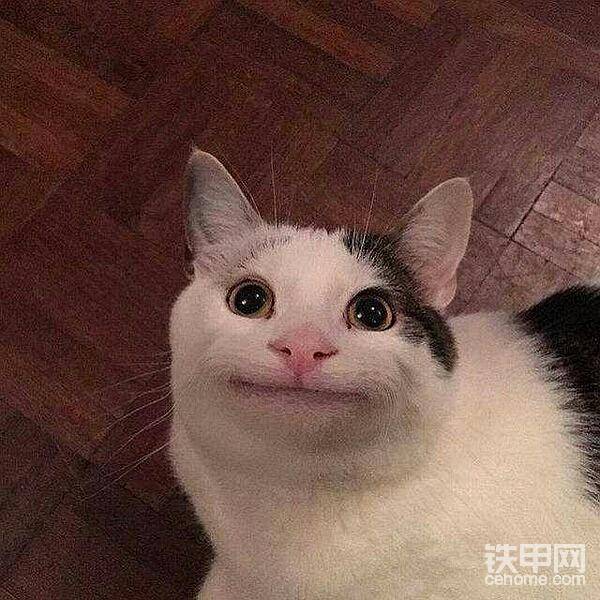 大概就是這個(gè)表情。。。