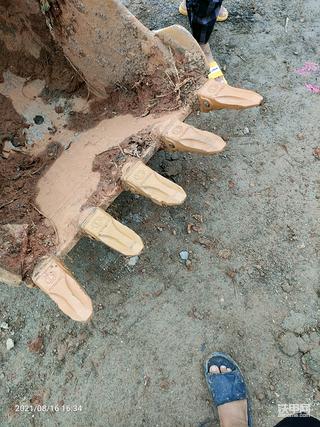 搞一天