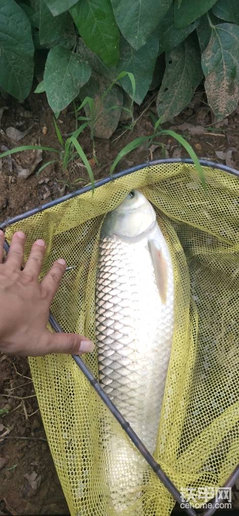 釣魚人的樂趣