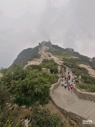 今日泰山