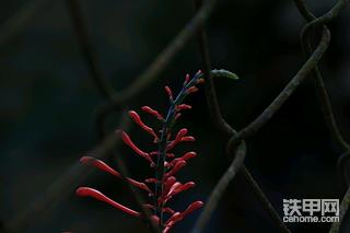 来几张压压惊