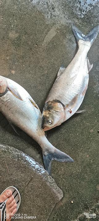 今年的你们还好吗？