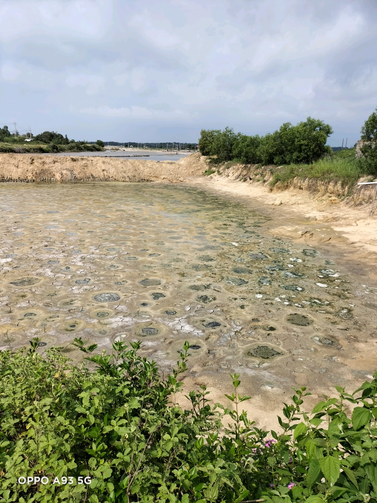 淤泥鱼塘准备开工，钢板已准备好