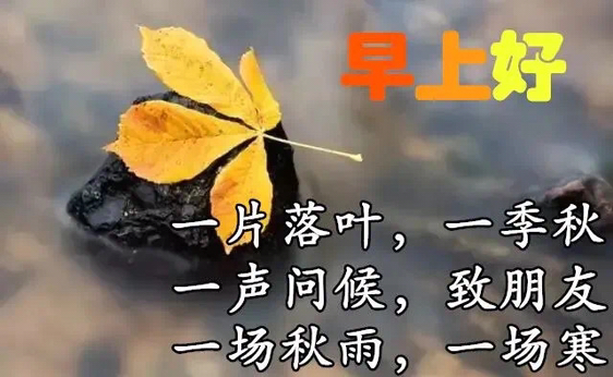 挖機界的一股清流