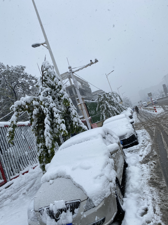 立冬下雪