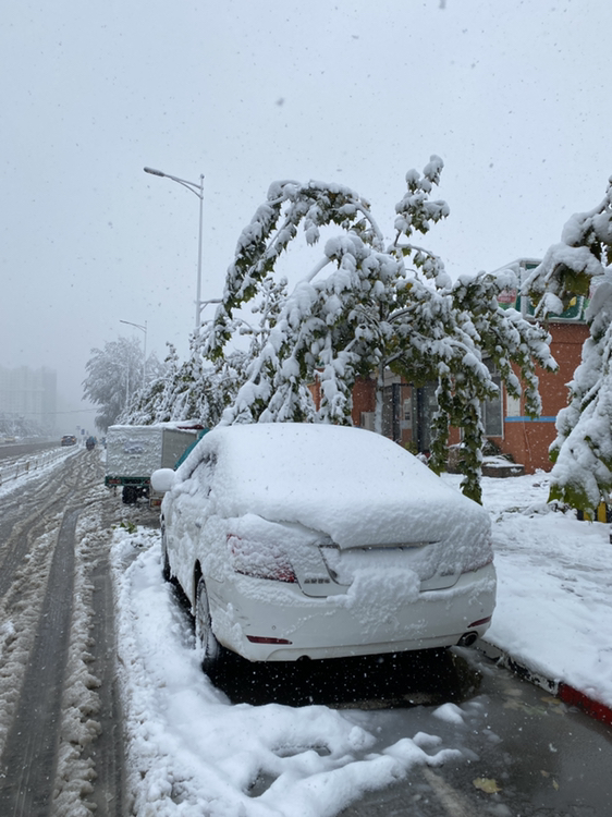 立冬下雪