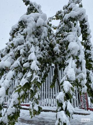 立冬下雪