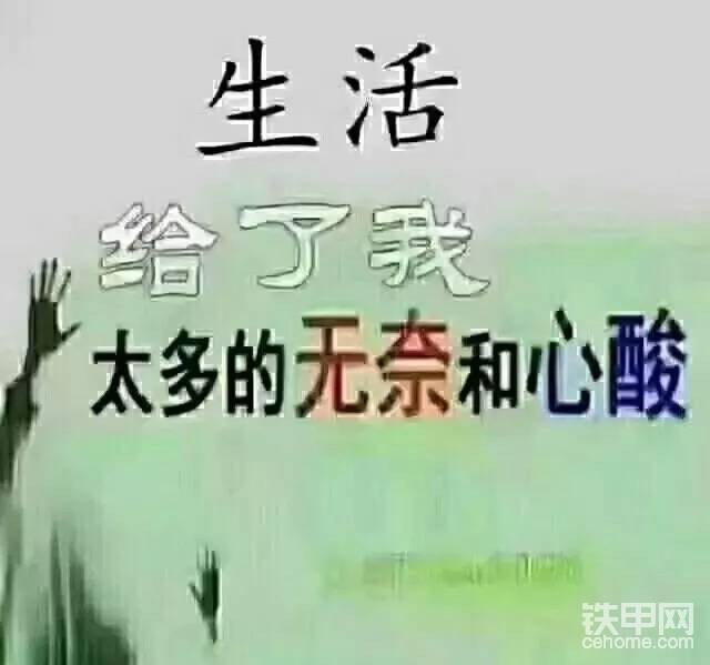 生活給了我太多的無奈和心酸-帖子圖片
