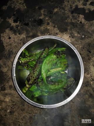 大理市附近求职(可带班)