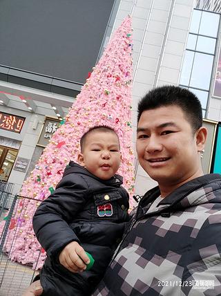 【欢度元旦】辞旧迎新，再努力！