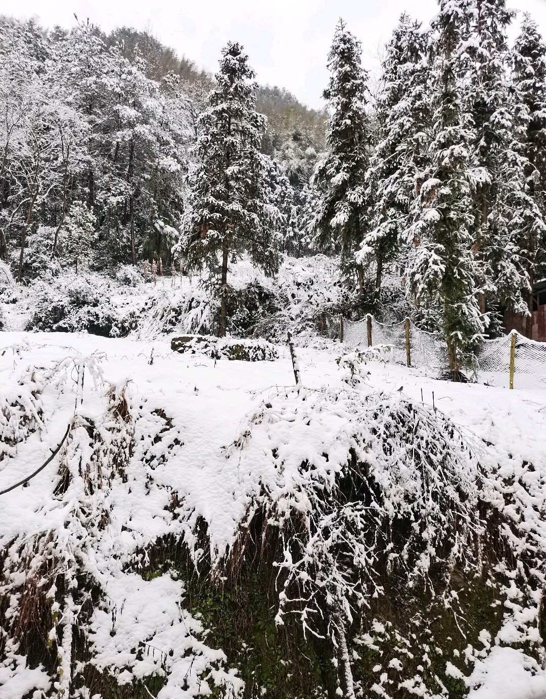 雪景不錯