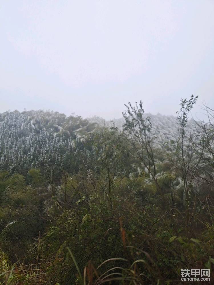 大山里的美景-帖子圖片