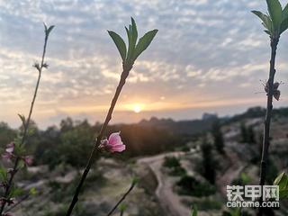 春意盎然，甲友们都在干啥活？