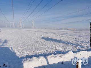 2022 319天津大雪后雪景