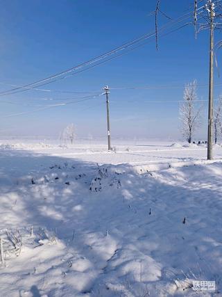 2022 319天津大雪后雪景