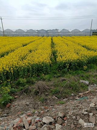 假装出来旅个游
