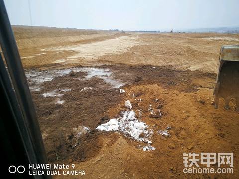 去年的雪