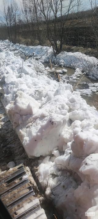 还清雪呢
