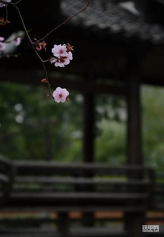 干活得认真