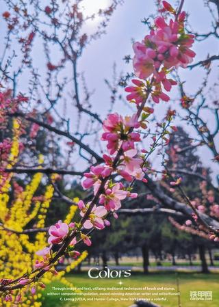 美图秀秀