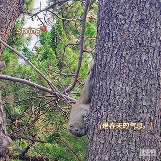 美图秀秀