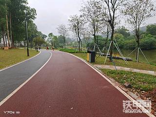好久没有冒泡了。落雨天呆着无聊。