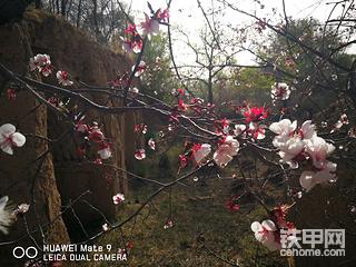 劳逸结合！春游去！