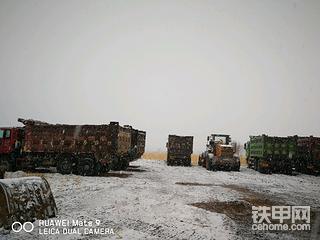 雪中情！