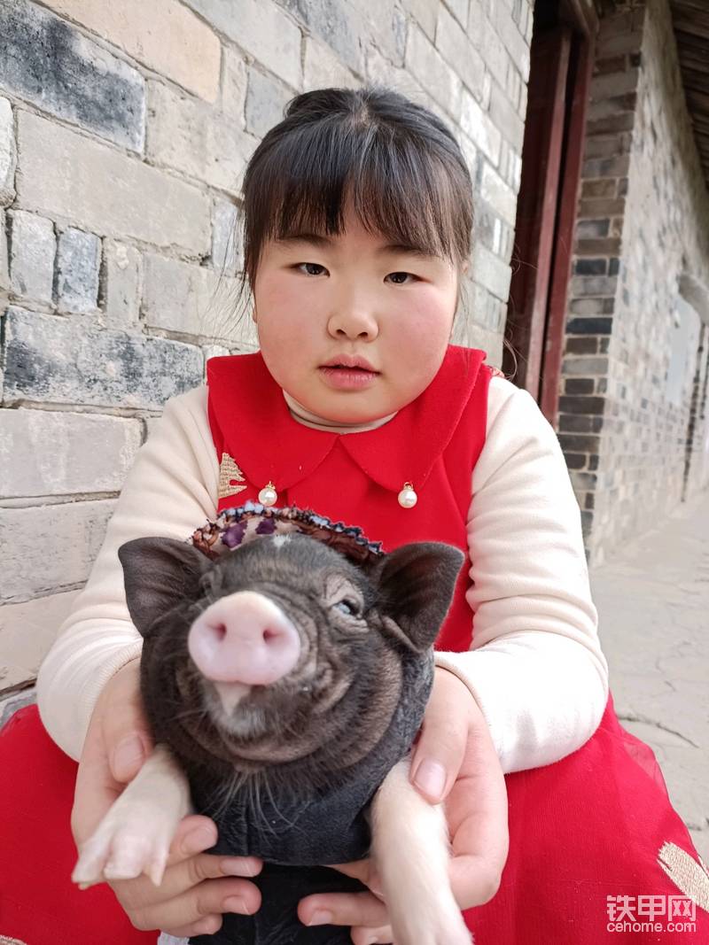 两只香猪，女儿的叫佩奇，儿子的叫乔治。后来女儿养的那只改叫它烤烤，儿子养的那只改叫它串串了。儿子手搞断后，统一交奶奶代养了，孙子孙女不听话的时候，奶奶就打他们的烤烤或者串串，制约过他们很长一段时间！