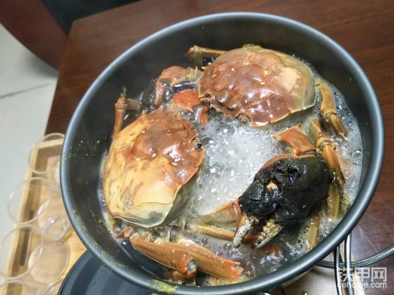霸气一回，两尺螃蟹就一锅了，用迷你灶做什么菜都霸气！你看螃蟹一对比是不是好大好大？