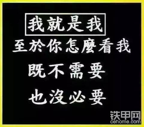 挖機(jī)屆的一股清流